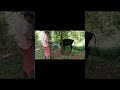 Morning routine # DairyDreams #FarmFreshLife #HolyCowFarm