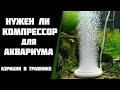 Нужен ли компрессор для аквариума. Какой компрессор выбрать.  Аэрация в травнике.