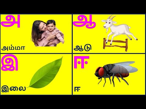 அ ஆ இ ஈ உயிர் எழுத்துக்கள் Part 1 |Learn Tamil Alphabets | Uyir ...