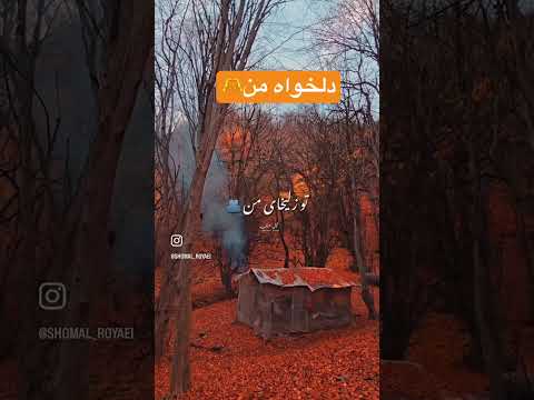 جان جانان من