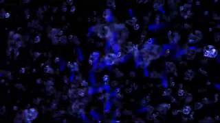 New Intro Is Officialy Createdbonus Video