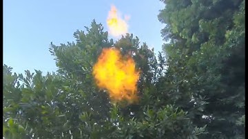 MultiSet: Meta Quest Wildfire AR Training — Sub-5 cm Outdoor VPS