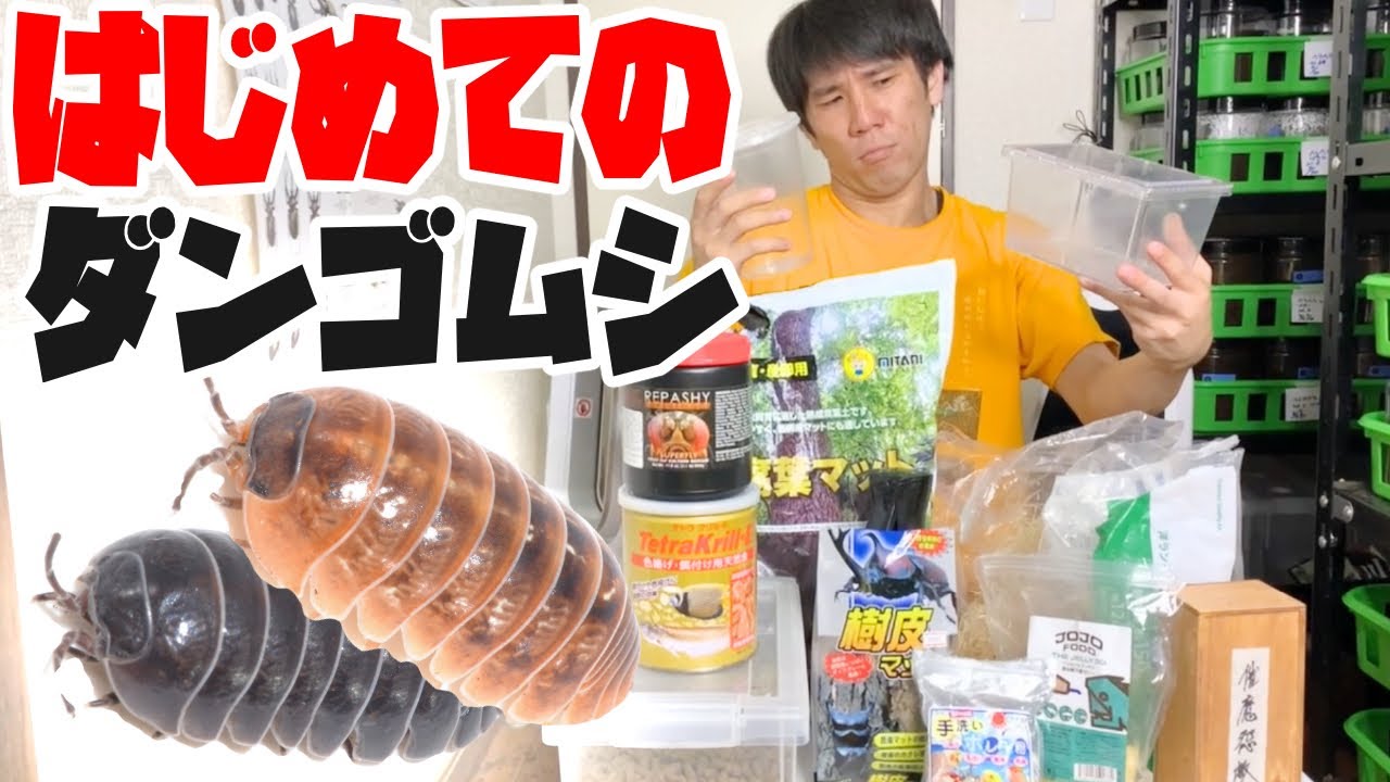 We asked a photographer to create a pillbug breeding kit. - YouTube