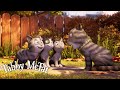 Tabby McTat's Family Just Got a Bit Bigger 🥹 @GruffaloWorld: Tabby McTat