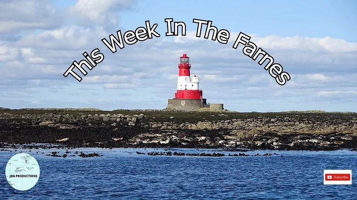 This Week In The Farnes.