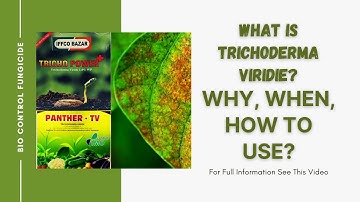 How, Why and When to Use Trichoderma Viridie in Home Garden - Detailed information.