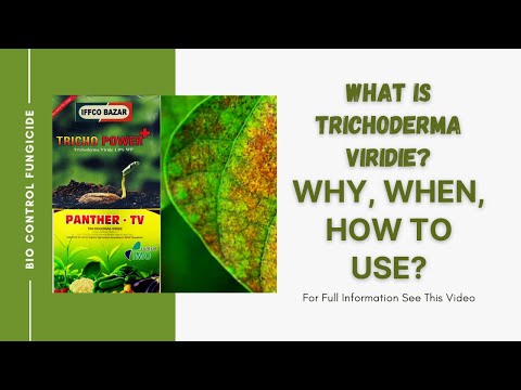 Video: Trichoderma: 4 Naudojimo Būdai