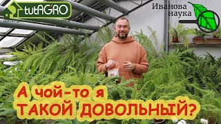 ОСОБЫЕ ОМУ БАЦИЛЛЫ ВОССТАНАВЛИВАЮТ ДАЖЕ УБИТУЮ ПОЧВУ! Посмотрите, что есть в этом удобрении!