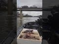 Hatchery salmon carcass return project #salmonfishing #sacramentoriver #salmonsacriver