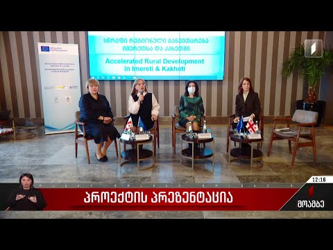 ძალადობისგან დაცვის ეროვნულმა ქსელმა პროექტის პრეზენტაცია გამართა