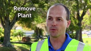 How do I properly plant a tree or a shrub? | Ask BrightView