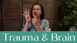 41 - HOW DOES TRAUMA AFFECT YOUR BRAIN - UNDERSTANDING THIS WILL HELP YOU WITH YOUR HEALING JOURNEY