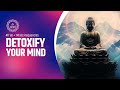 Detoxify Your Mind, Erase Stress, and Clear Mental Clutter | 417 Hz + 741 Hz Frequencies | Calm