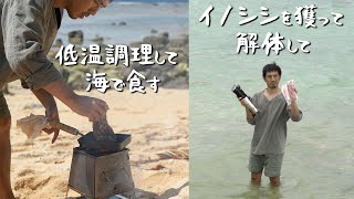 低温調理器を使うとイノシシの肉はどうなるのか？ロゼ色のミディアムレアの肉を沖縄離島の海で食す！結果は⁉【★南国狩猟生活★】