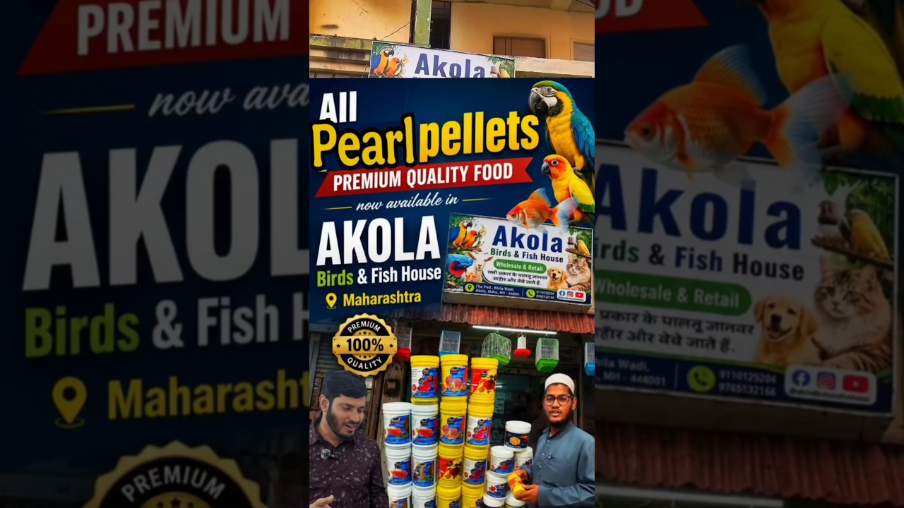 Pearl Pellets Expands to Akola, Maharashtra 🇮🇳Pearl Pellets Premium Fish Food Now Available ! 🎉