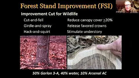 Dr. Craig Harper Discusses Forest Stand Improvemen...
