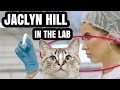 JACLYN HILL ANIMAL IN LAB?