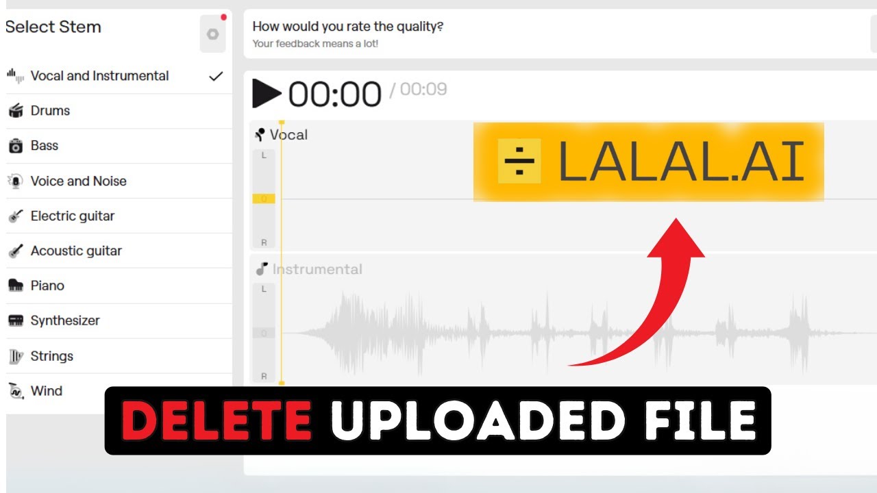 How to Delete Uploaded Files from Lalal.ai 2025? - YouTube