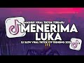 DJ MENERIMA LUKA SLOW VIRAL TIKTOK FULL SONG MAMAN FVNDY 2026