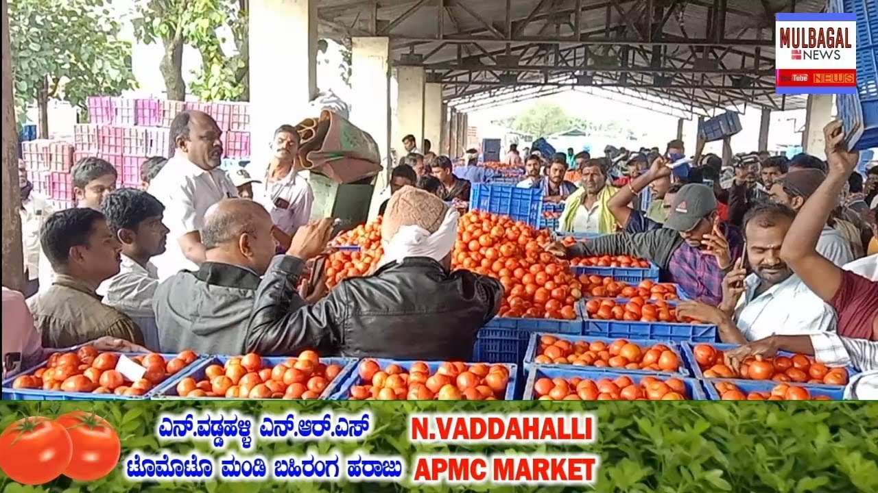 30112021 today Tomato rate at VADDAHALLI NRS TOMATO MANDI AUCTION