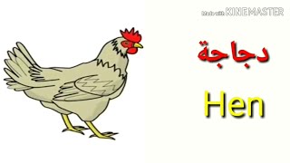 Names of animals in English and Arabic اسماء الحيوانات بالانجليزي و العربية