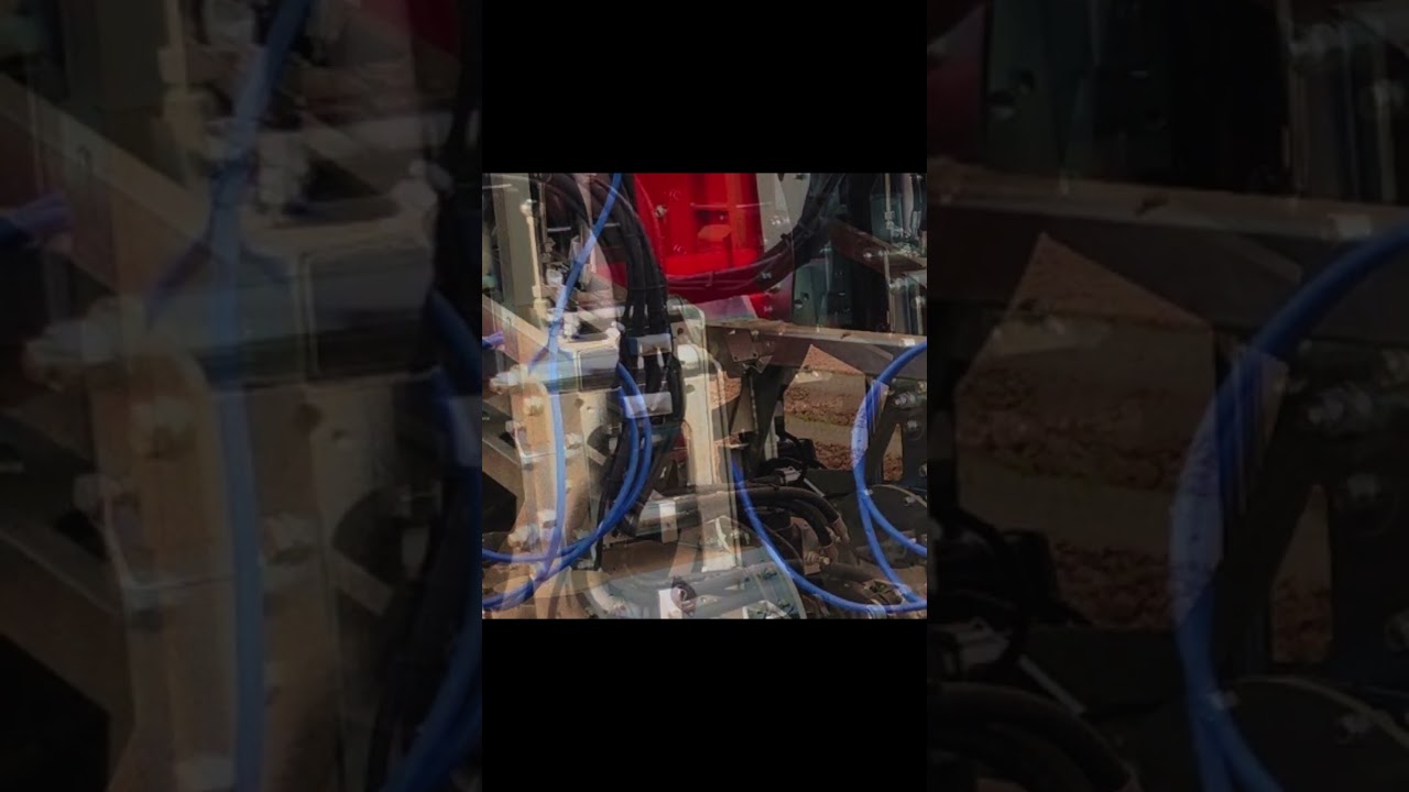 Colibrì weeding machine for carrots on ridges