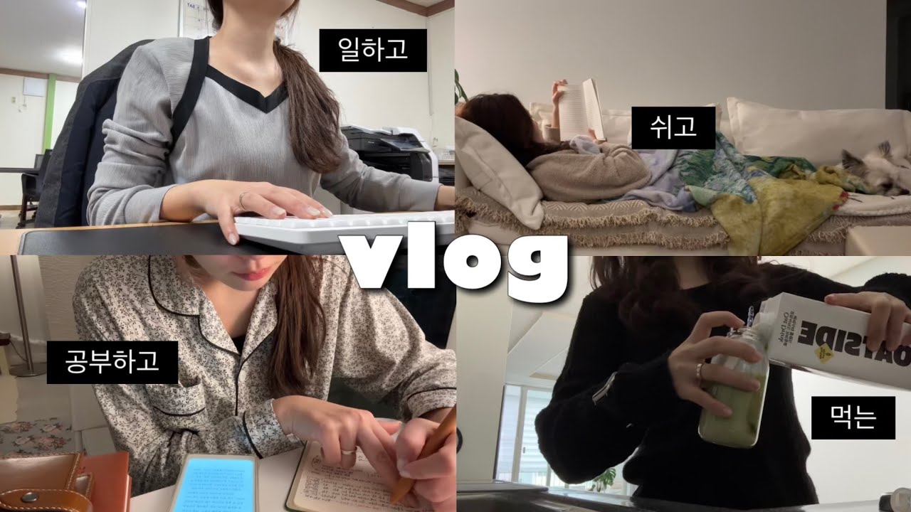 5:00am 갓생 브이로그. 퇴근 후 공부하는 일상. 직장인 아침. 파일로팩스. 양지다이어리. 기록루틴. 경제공부 방법. 집밥 일상. 등촌샤브 레시피. 오트밀바질리조또. 오트라떼 