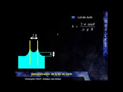 MK Flu 2 - 2.D1 - Capillary Rise and Jurin's Law