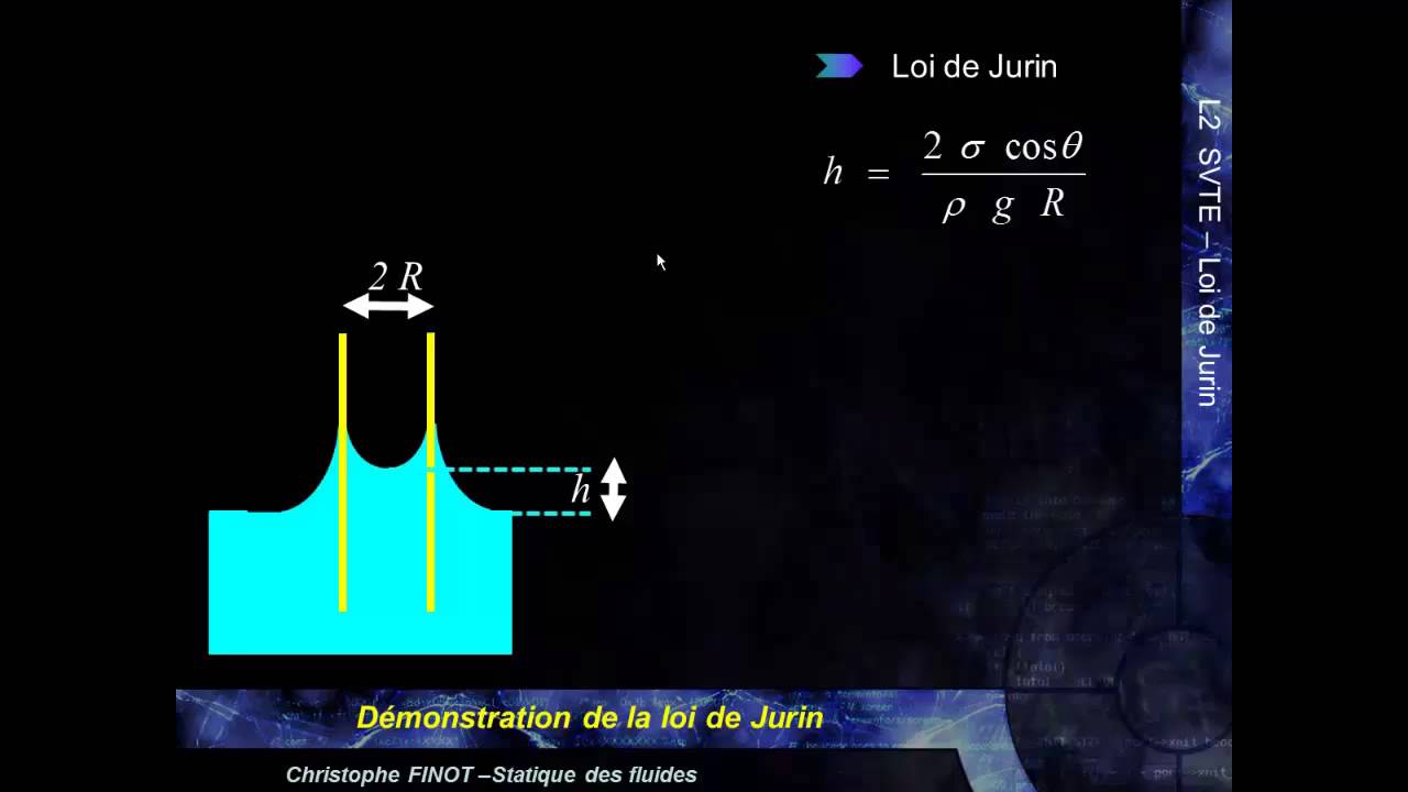 MK Flu 2 - 2.D1 - Ascension capillaire et loi de Jurin