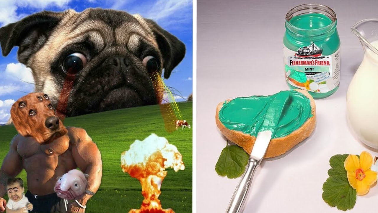 Hilarious Photoshop Fails That May Encourage You To Take Up Photo ...