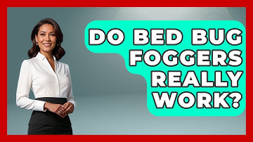 Do Bed Bug Foggers Really Work? - Insects and Invaders