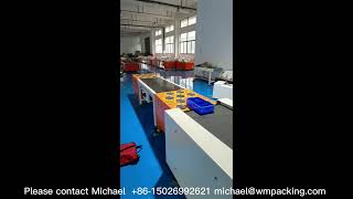 automatic parcels sorting system test video