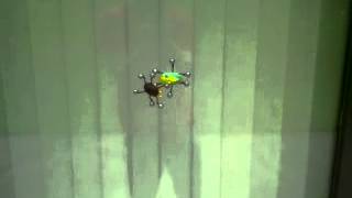 Xshot Bug Attack - Bug Crawling