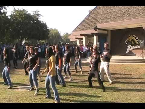 VO Flash Mob