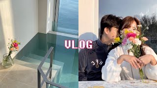 VLOG┃태안풀빌라에서 먹고 자고 놀고 / 풀빌라아마레 / 딴뚝통나무집