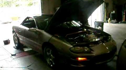 player swf application x shockwave flash Object