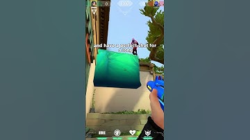 BEST SAGE ATTACK WALLS ON HAVEN