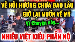 VỀ HỒI HƯƠNG CHƯA BAO LÂU PHẢI BAY VỀ MỸ GẤP, nhiều VIỆT KIỀU PHẪN NỘ nói ra điều này