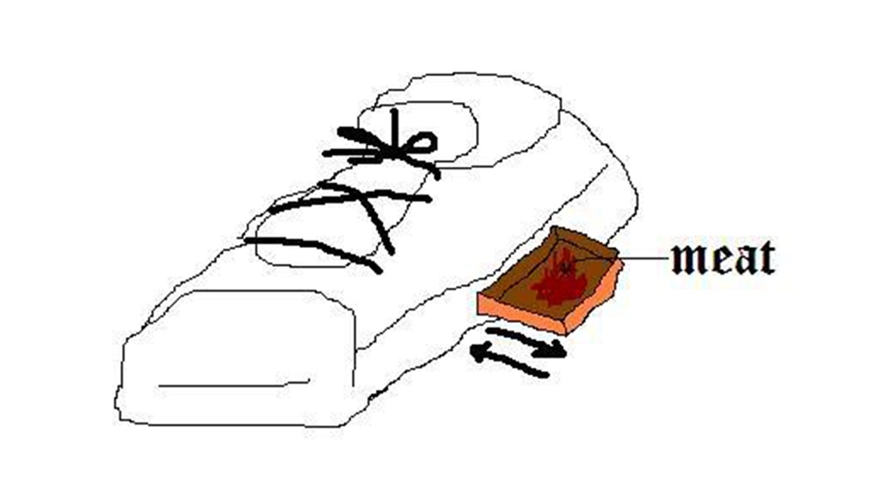 Does Anyone Remember Hulk Hogan Meat Shoes?