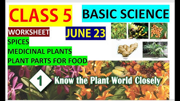 CLASS 5 BASIC SCIENCE WORKSHEET /JUNE 23/ENGLISH MEDIUM /CHAPTER 1/KERALA SYLLABUS/EDUTEACHERKERALA
