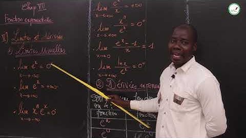 Cours -  Terminale L - Mathématiques : Fonction Exponentielle / M. Mbow