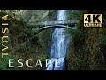 4K Footage of the Waterfalls of Oregon - Relaxing Music with Nature Waterfall Sounds