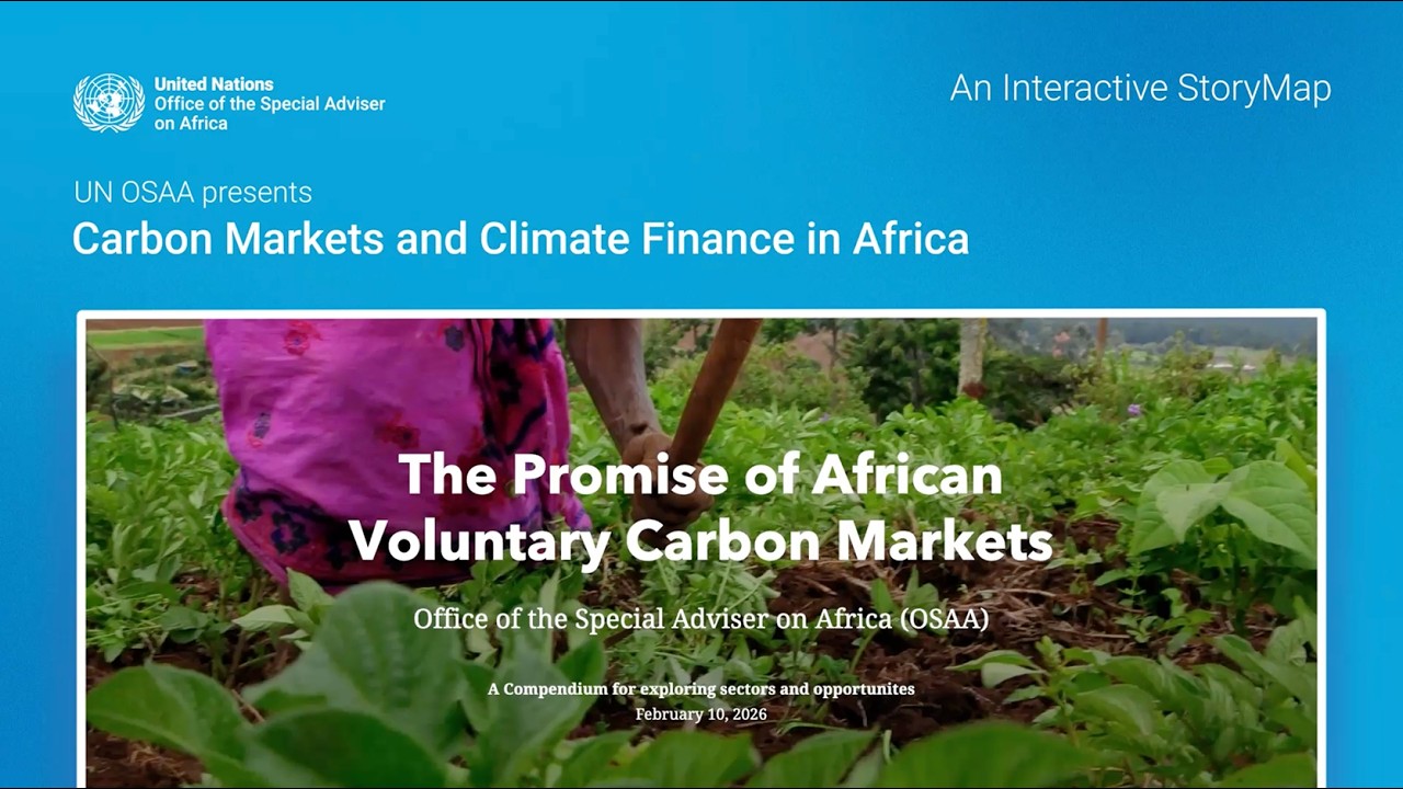 🌍 The Promise of African Voluntary Carbon Markets – A StoryMap - YouTube