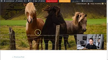 Advanced Gutenberg Blocks Review: Great plugin for bloggers!
