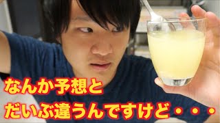 びっくりジンジャエール作ったらとんでもないものができた！！