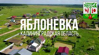 4K. Яблоневка. Гурьевский район. Калининградская область