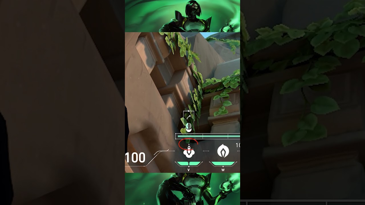 BEST VIPER LOTUS LINEUP | 2023 