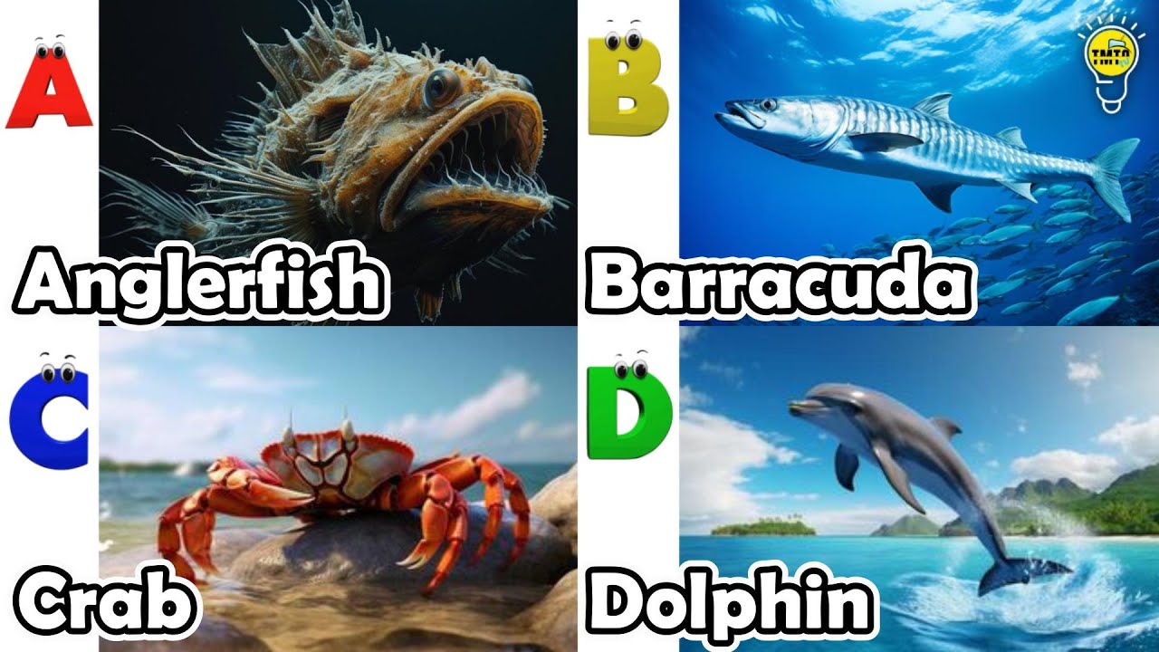 ABC Sea Animals song | Learn Alphabets | English and Animals for Kids ...