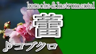Download lagu 蕾/コブクロ/カラオケ/Instrumental/歌詞/TSUBOMI/Kobukuro