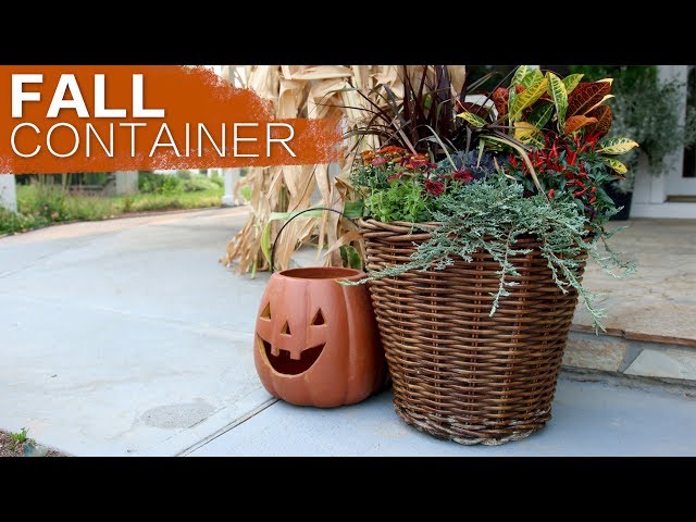 Fall Container Inspiration // Garden Answer